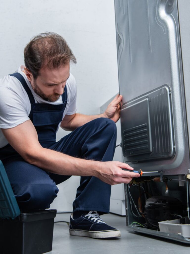 Same-Day Refrigerator Repair In Toronto